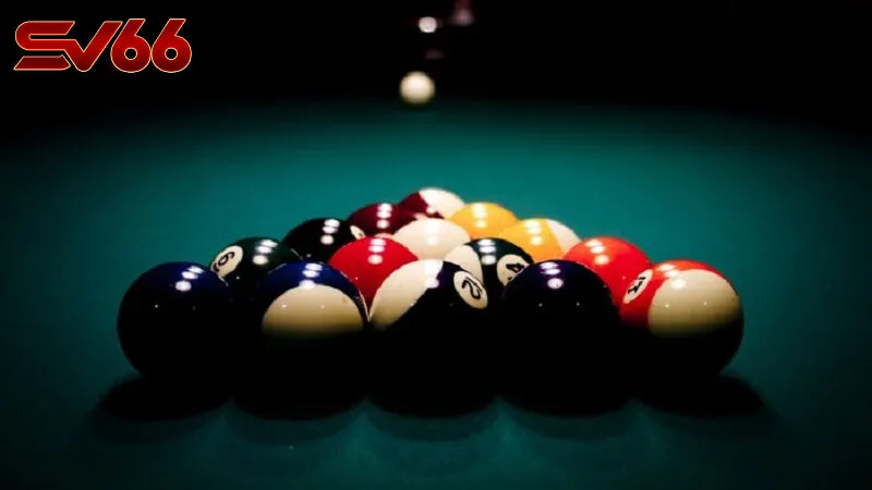 Cá Cược Bida Tại SV66 - Khám Phá Hành Trình Giải Trí Đỉnh Cao